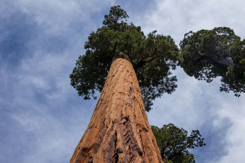 Enabled Intelligence secures NGA SEQUOIA contract