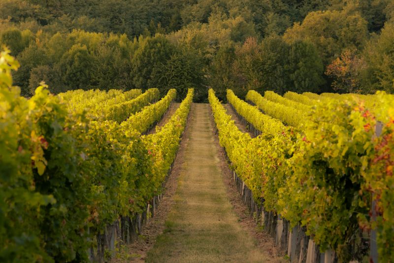 DARPA releases Bordeaux program solicitation